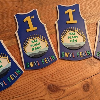 Gwobrau Chwaraeon Unigryw 